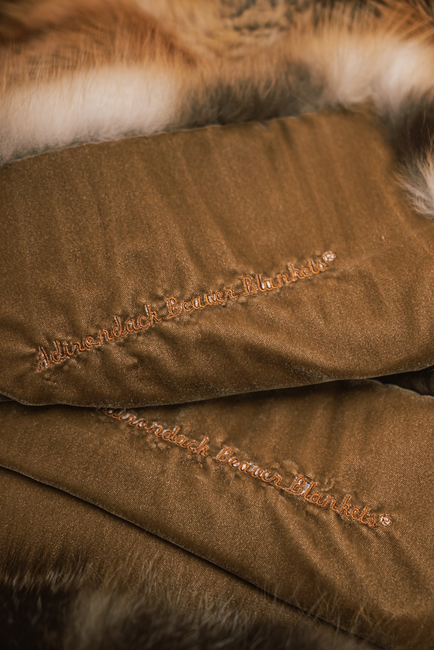 Wild Cross Fox Blanket