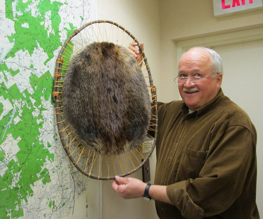 Hooped Beaver Pelts for Sale Adirondack Beaver Blankets