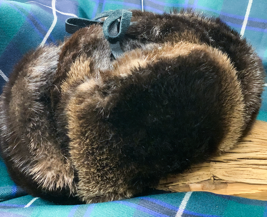 Otter Hat Display